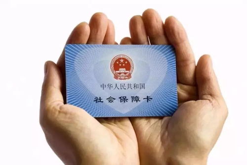 石河子人注意 社保卡 駕駛證 身份證,又傳出了大消息